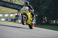Advanced Group Yellow Bikes